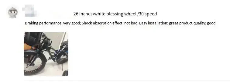 Snow Bike 24/26 Inch 21/24/27/30 Speed Spoke Wheel Mountain Bicycle 4.0 Fat Tires Hanging Type Disc Brake Beach Off Road