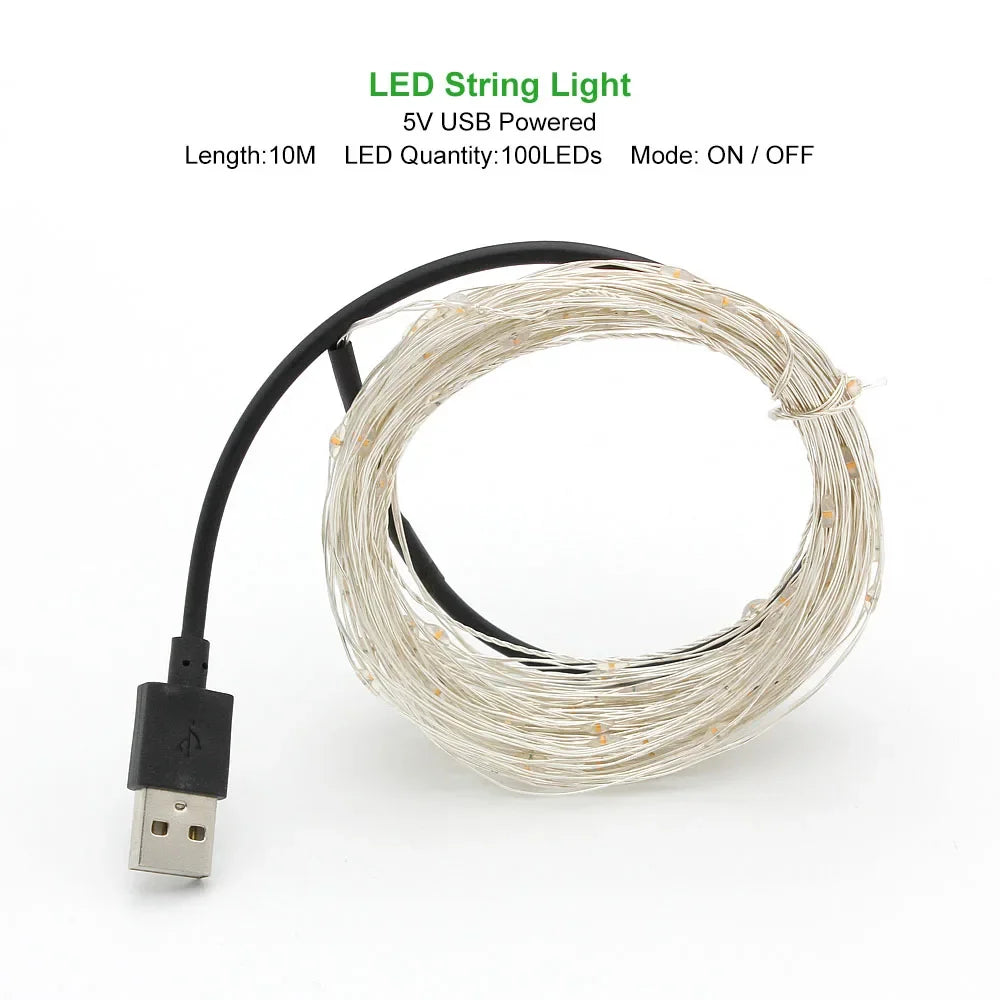 2M 5M 10M LED String Light LED Fairy Lights battery power For Christmas tree Garland Holiday Wedding Party New Year Decoration